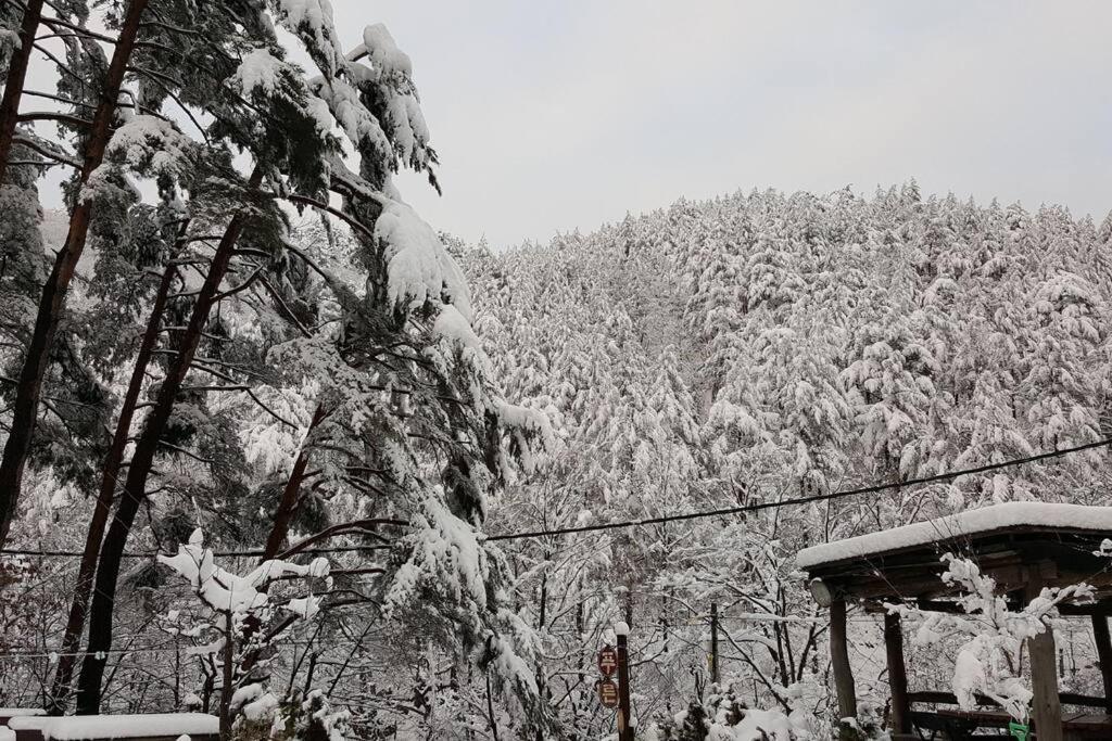 Blue Sky Milky Way Pension Yangyang Zewnętrze zdjęcie