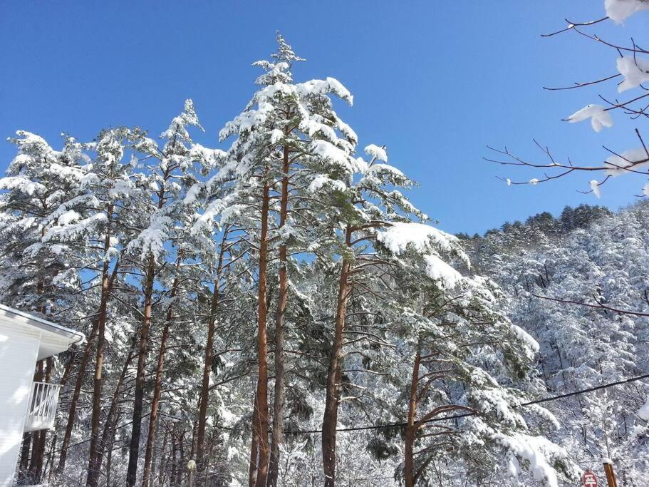Blue Sky Milky Way Pension Yangyang Zewnętrze zdjęcie